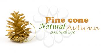 Royalty Free Photo of a Gold Pine Cone