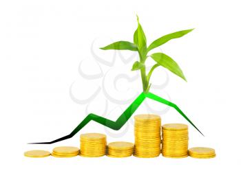 Royalty Free Photo of a Plant on Gold Coins