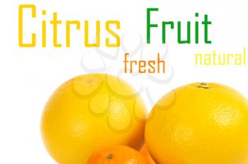 Citrus fruit on a white background
