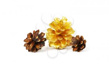 two pine cones and one golden cone over white background with shadow