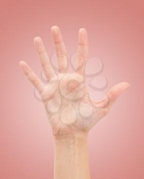 Open woman hand or number five isolated on white 