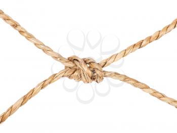 rope with knot, isolated on white