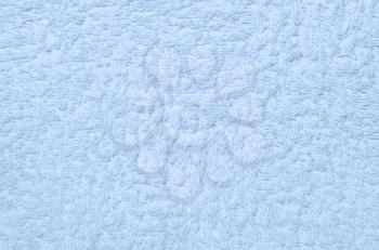 Wool sheep closeup