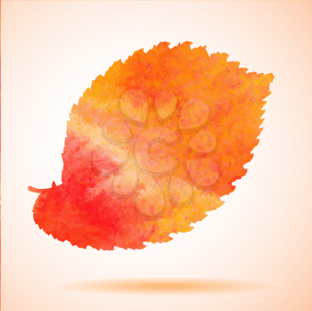 Orange watercolor painted vector elm tree leaf