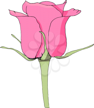 Pink rose flower. Floral design. Vector illustration.