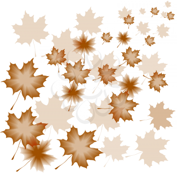Royalty Free Clipart Image of a Maple Leaf Background