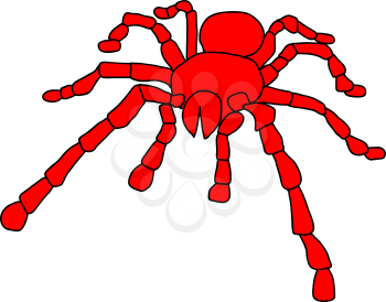 Royalty Free Clipart Image of a Tarantula