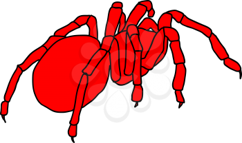 Royalty Free Clipart Image of a Tarantula