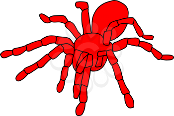 Royalty Free Clipart Image of a Tarantula