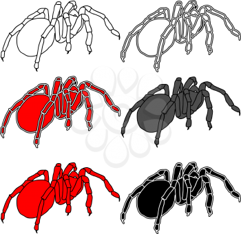 Royalty Free Clipart Image of Tarantulas