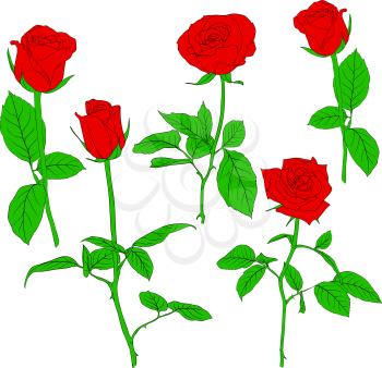 Royalty Free Clipart Image of Red Roses