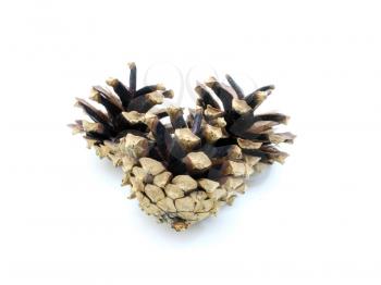 Pine cones lie on a white background dry and brown