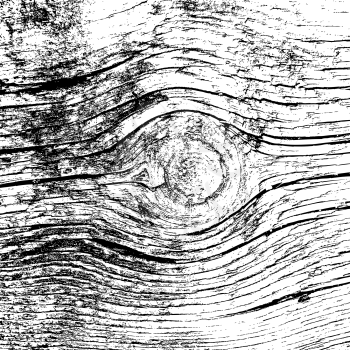 Wooden texture background, Realistic plank. Vector illustration. 