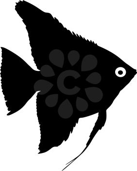 Black silhouette of aquarium fish on white background.