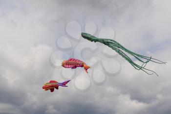 MOSCOW - AUGUST 27: Feast of kites in the park on August 27, 2017 in Moscow, Russia.