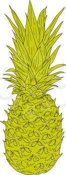 Sketch silhouette sketch pineapple on white background illustration.