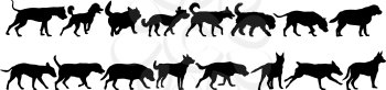 Set silhouette domestic dog on a white background.