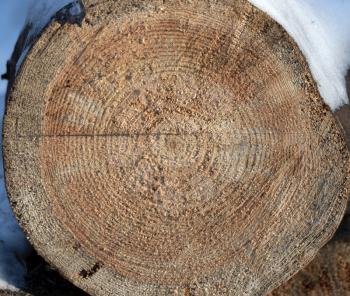 Wooden circle with a split cut of the log.