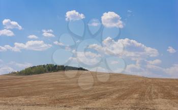 Rolling Farm Hills of Wheat Crop Fields on Sunny Summer Day.