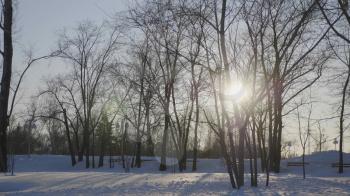 Winter sunset in the forest with sunbeams.