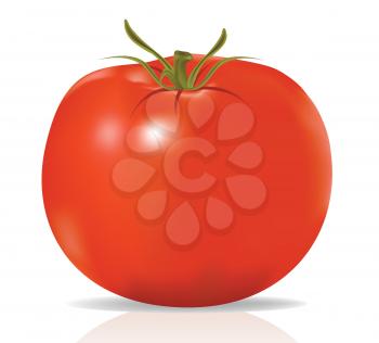 Royalty Free Clipart Image of a Tomato