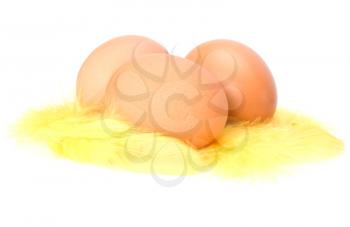 Eggs and feather isolated on white background. Easter decor.