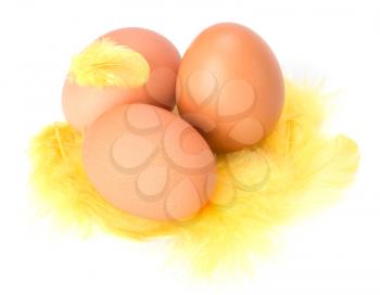 Eggs and feather isolated on white background. Easter decor.