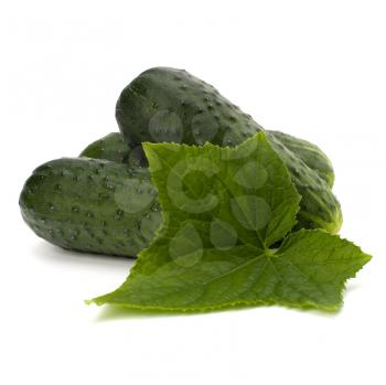 cucumber isolated on white background close up