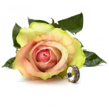 Beautiful rose with wedding ring  isolated on white background