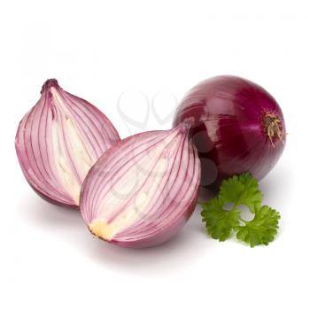 Red sliced onion and fresh parsley still life isolated on white background