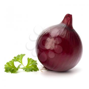 Red onion tuber and fresh parsley isolated on white background