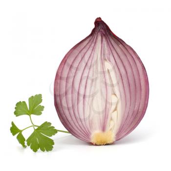 Red sliced onion half and fresh parsley still life isolated on white background