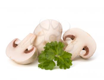 Champignon mushroom and fresh parsley isolated on white background