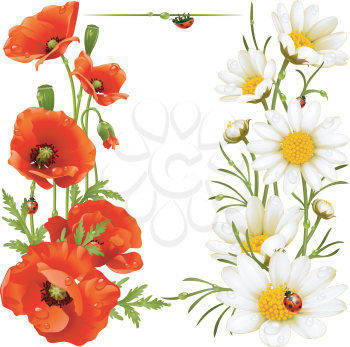 Royalty Free Clipart Image of a Floral Border