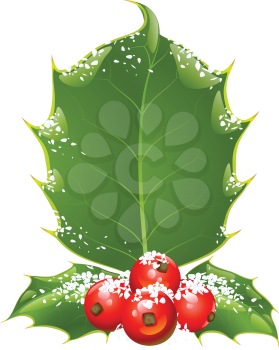 Royalty Free Clipart Image of Holly