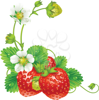 Royalty Free Clipart Image of a Strawberry Element