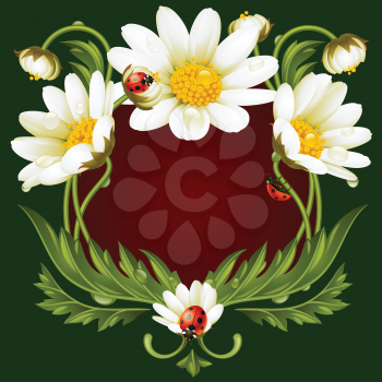 Vector frame with daisies and ladybug in the shape of floral beast face