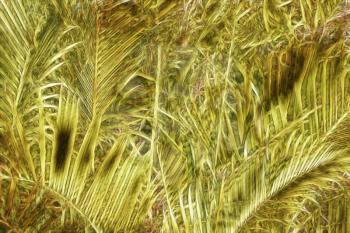 Royalty Free Photo of Abstract Yellow and Green Palm Tree Leaves