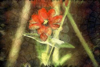 Royalty Free Photo of a Painting of a Wildflower