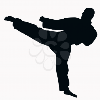 Sport Silhouette - Karate Kick isolated black image on white background
