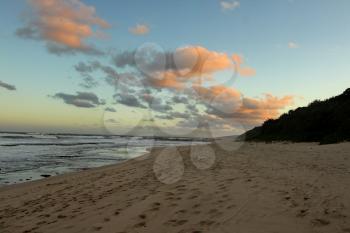 Picture of Seascape with Setting Sun on Clouds Dog and Seagull