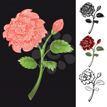 Royalty Free Clipart Image of a Rose on Black and Three on a White Border