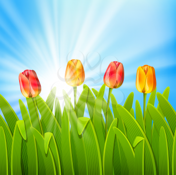 Royalty Free Clipart Image of Tulips and Sunlight