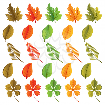 Royalty Free Clipart Image of Leaves