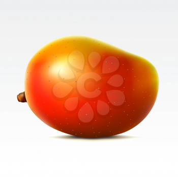 Royalty Free Clipart Image of a Mango