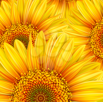 Royalty Free Clipart Image of a Sunflower Background