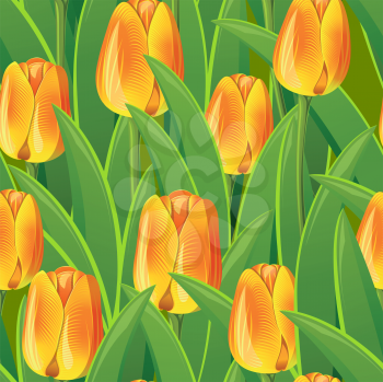 Royalty Free Clipart Image of a Yellow Tulip Background