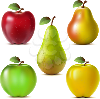 Set of red, yellow and green apples and pears. Mesh. 