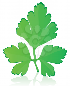 Royalty Free Clipart Image of Parsley