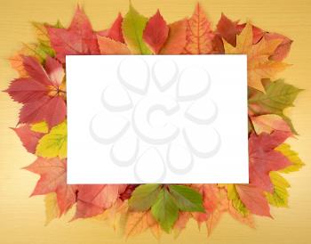 autumn leaves and white sheet of paper